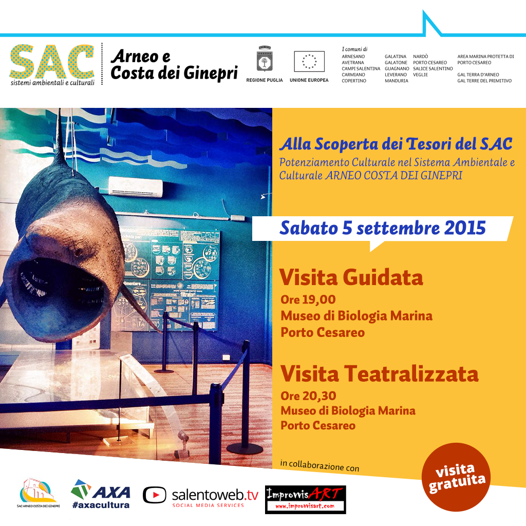 Immagine: card_05-09_1674