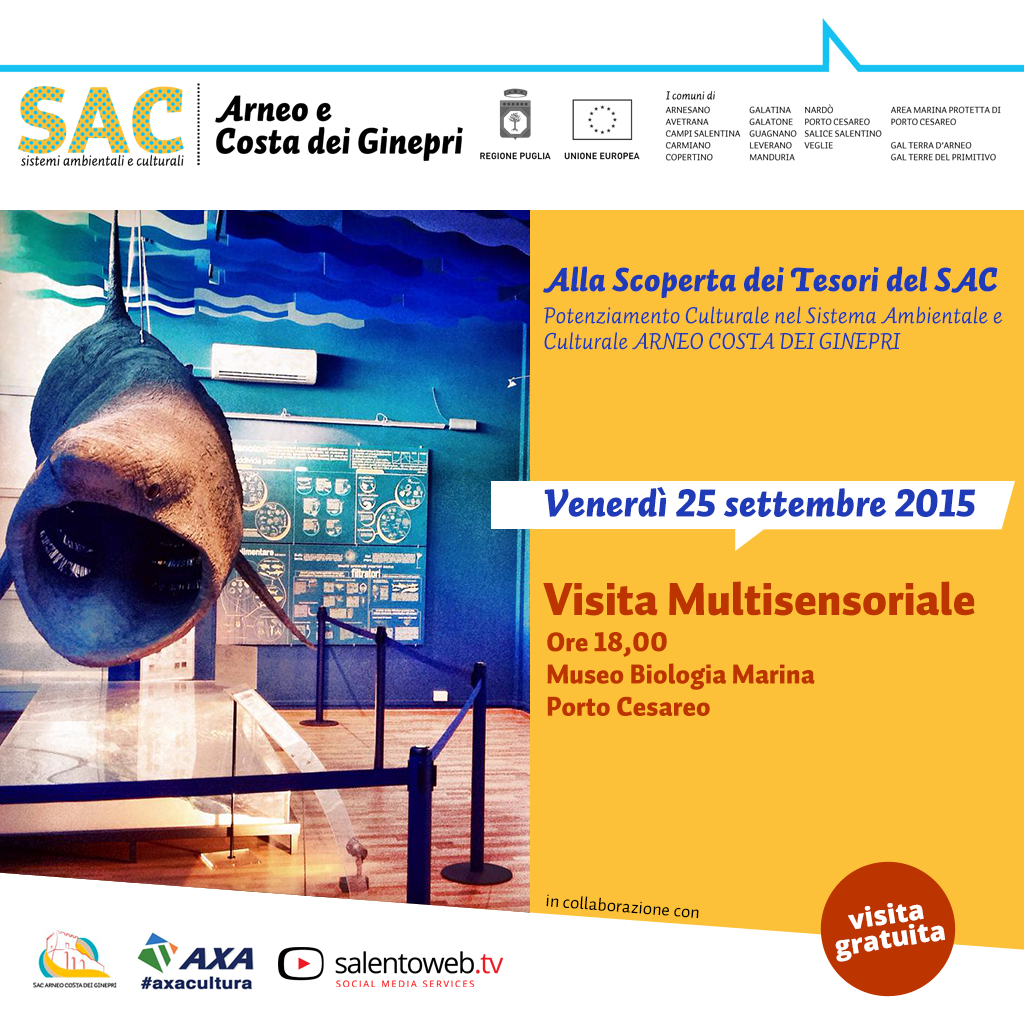 Immagine: card_25-09663
