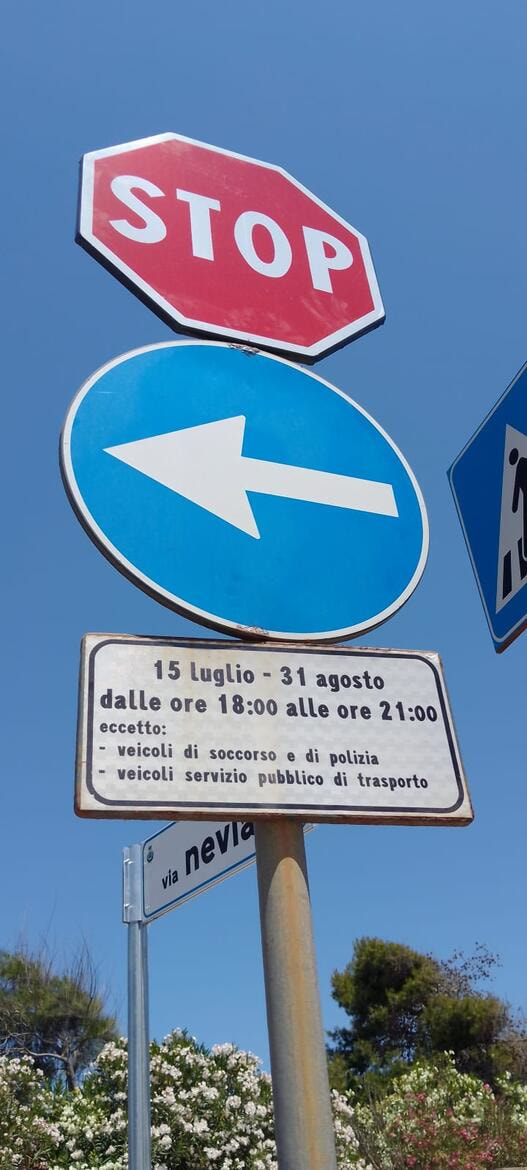 Immagine: foto