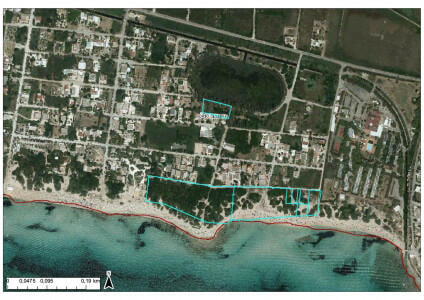 Rappresentazione grafica