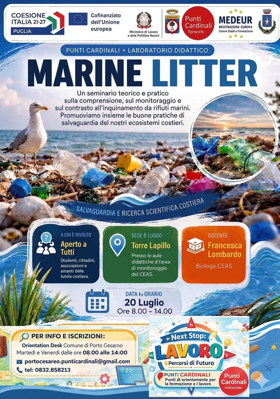 PUNTI CARDINALI FOR WORK - Laboratorio didattico 'MARINE LITTER'