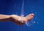 Immagine: acquapx530
