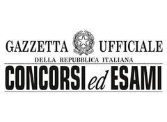 Immagine: bandieconcorsi864