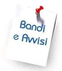Immagine: BANDO816