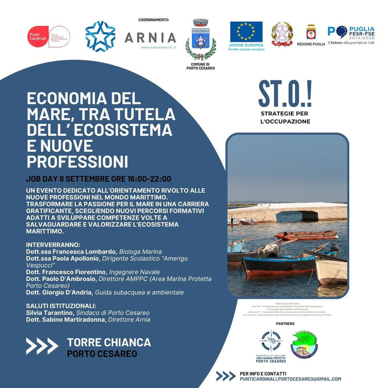 Immagine: economica_del_mare61